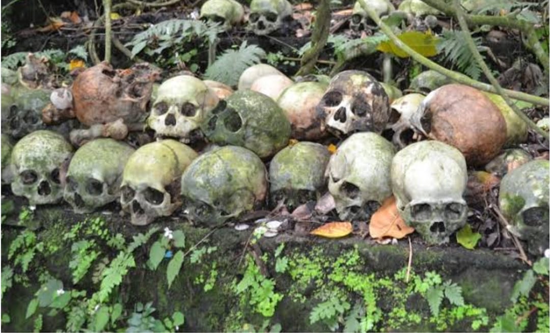 Terunyan Village Tour By Boat